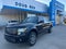 2010 Ford F-150 XL